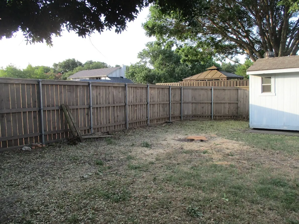 Cleared yard after professional tree removal in Palmerton