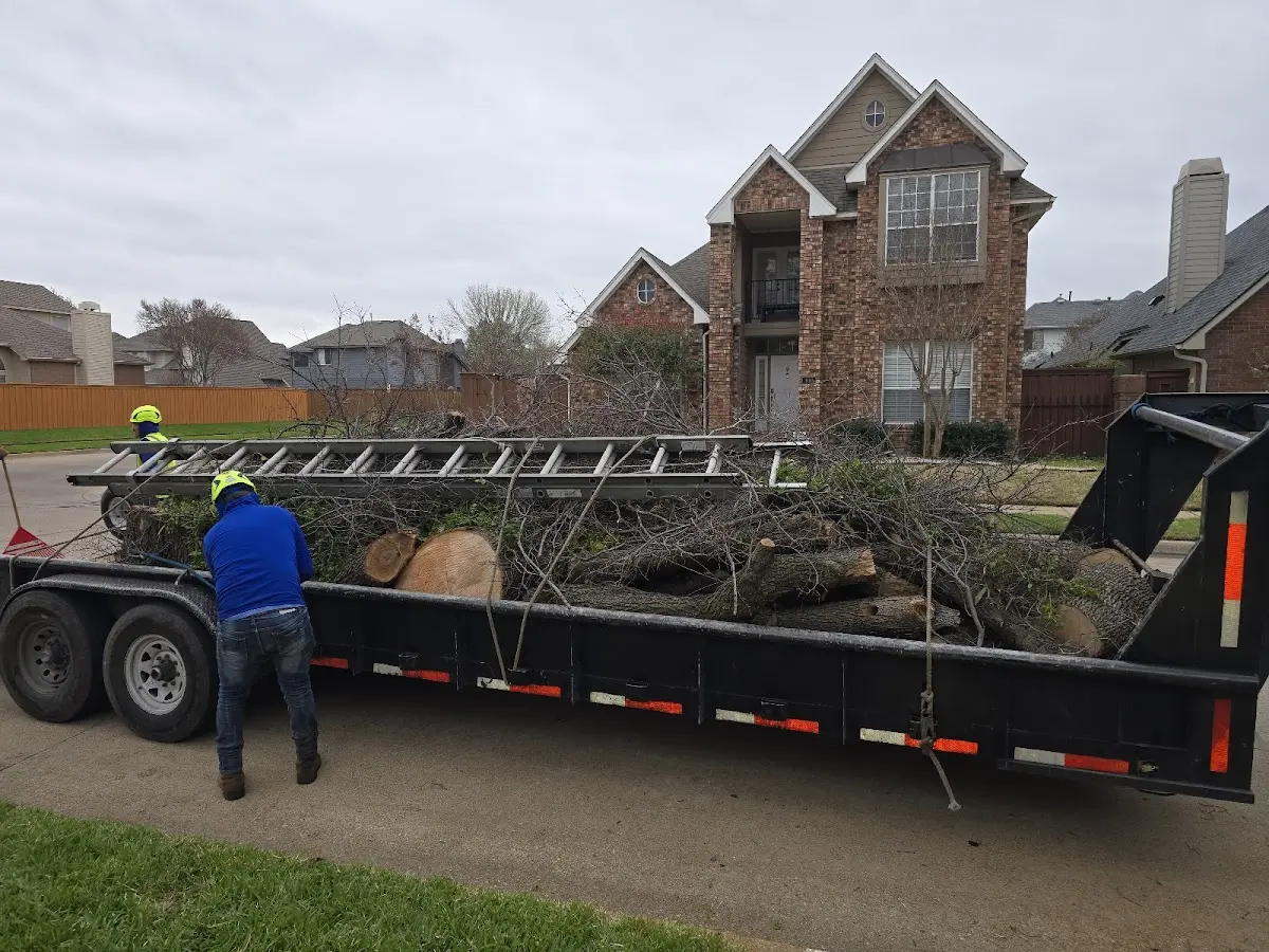 Expert Tree Fertilization with proper safety equipment in Palmerton